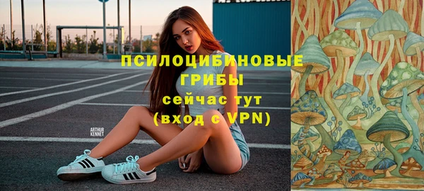 apvp Ладушкин